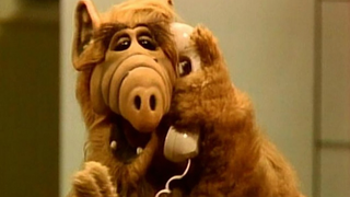 Trump Administration Creates Crime Hotline to Report Aliens, Immediately Gets Trolled<em></em>